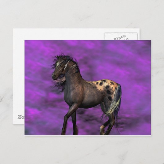 Indisches Pferd Postkarte (Vorne/Hinten)