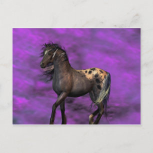 Indisches Pferd Postkarte