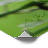 Indisches rosa Poster (Ecke)