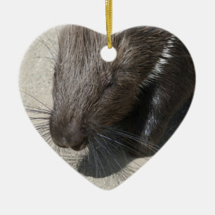 Indisches Stachelschwein mit Haube Keramikornament