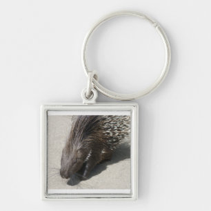 Indisches Stachelschwein mit Haube Schlüsselanhänger