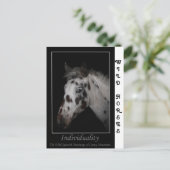 "Individualität" - Wild Spanische Mustangs Postkarte (Stehend Vorderseite)