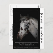 "Individualität" - Wild Spanische Mustangs Postkarte (Vorne/Hinten)