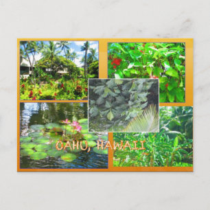 INDIVIDUALPOSTKARTEN - HAWAII COLLAGE # 16 POSTKARTE