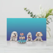 Individuell anpassbare 12x18 für Flachkarten-Party Einladung (Stehend Vorderseite)