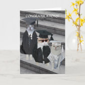 Individuell anpassbare Abschluss-Card für Kätzchen Karte (Gelbe Blume)