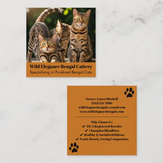 Individuell anpassbare Bengalisch Cattery Business Quadratische Visitenkarte (Vorne/Hinten)