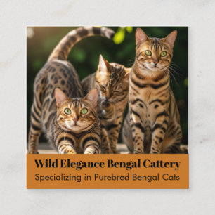 Individuell anpassbare Bengalisch Cattery Business Quadratische Visitenkarte