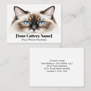 Individuell anpassbare Cattery Business Card mit A Visitenkarte