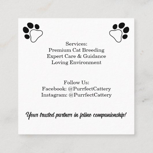 Individuell anpassbare Cattery Business Card mit C Quadratische Visitenkarte (Rückseite)