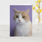 Individuell anpassbare Funny Cat/Kiteboard-Förderu Karte (Gelbe Blume)