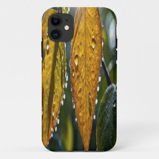 Individuell anpassbare Handy Case - Erstellen Sie