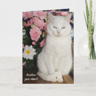 Individuell anpassbare Hübsche Katze Feminine Gebu Karte