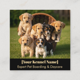 Individuell anpassbare Kennel Business Card Quadratische Visitenkarte