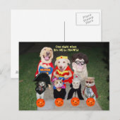 Individuell anpassbare lustige Haustiere Postkarte (Vorne/Hinten)