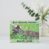 Individuell anpassbare tierärztliche Erinnerung Postkarte (Stehend Vorderseite)