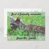 Individuell anpassbare tierärztliche Erinnerung Postkarte (Vorne/Hinten)