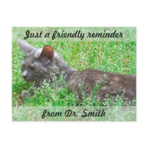 Individuell anpassbare tierärztliche Erinnerung