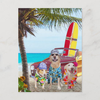 Individuell gestaltbare Hunde/Labradore am Strand Postkarte