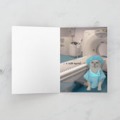 Individuell gestaltete, lustige Katzen/Kätzchen we Karte (Innenseite)