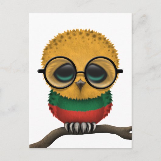 Individuell gestaltete Nerdy Litauian Baby Owl Chi Postkarte (Vorderseite)