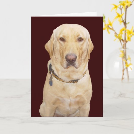 Individuell gestalteter Geburtstag Karte (Gelbe Blume)