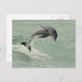 Individuelle Dolphin-Postkarte Postkarte (Vorne/Hinten)