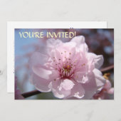 Individuelle Einladungen Sie sind eingeladen! Rosa (Vorne/Hinten)