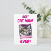INDIVIDUELLE KATZENMUTTER MUTTER JEDES HAUSTIER LI POSTKARTE (Stehend Vorderseite)