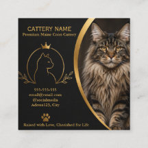 Individuelle Maine-Coon-Zucht-Geschäftskarte mit F