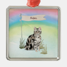Individuelle Name American Kurz Hair Pet Cat