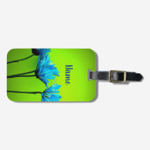 individuelle Name Aquamarin Daisies on Lime Green