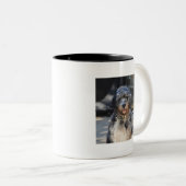 Individuelle Name Bernedoodle Foto Zweifarbige Tasse (VorderseiteRechts)