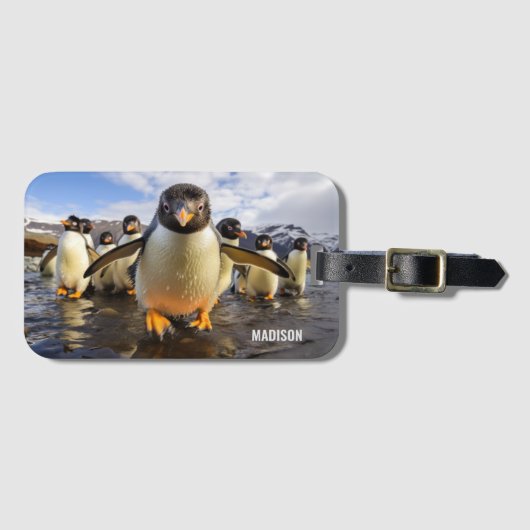 Individuelle Name Cool Pinguine Gepäckanhänger (Vorderseite (Horizontal))