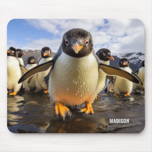 Individuelle Name Cool Pinguine Mousepad (Vorne)