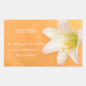 Individuelle Name, die RCIA feiern Glückwunsch Lil Rechteckiger Aufkleber (Vorderseite)