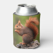 Individuelle Name Eichhörnchen Dosenkühler (Kanne Vorderseite)