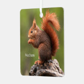 Individuelle Name Eichhörnchen Ornament Aus Metall (Vorderseite links)