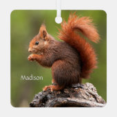 Individuelle Name Eichhörnchen Ornament Aus Metall (Rückseite)