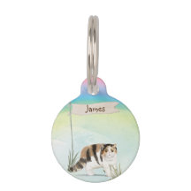 Individuelle Name Exotische Kurze Haarkatze Hausti