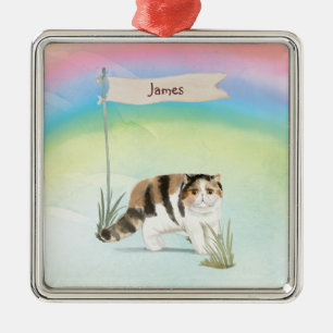 individuelle Name Exotische Kurze Haarkatze Hausti Ornament Aus Metall