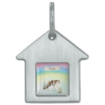 Individuelle Name Exotische Kurze Haarkatze Hausti