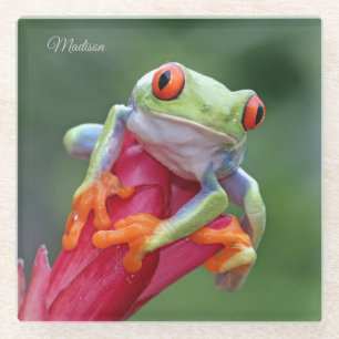 Individuelle Name Frog Glasuntersetzer