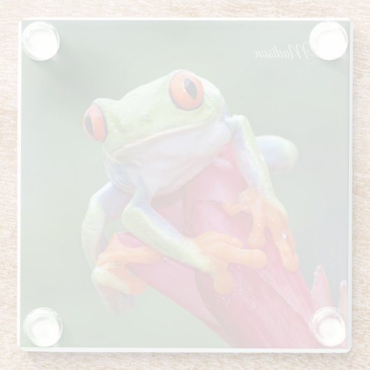 Individuelle Name Frog Glasuntersetzer (Rückseite)