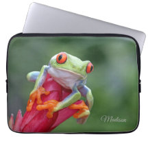 Individuelle Name Frog