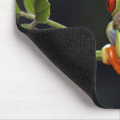 Individuelle Name Frog Mouse Pad Mousepad (Ecke)