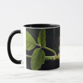 Individuelle Name Frosch Tasse (Links)