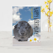 Individuelle Name Happy Birthday Guinea Pig White Karte (Gelbe Blume)
