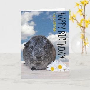 Individuelle Name Happy Birthday Guinea Pig White Karte