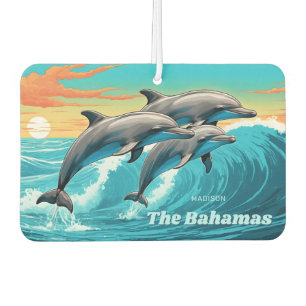 Individuelle Name & Lage Dolphin Autolufterfrischer